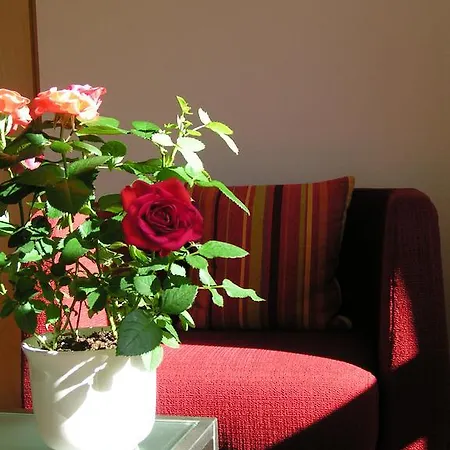 Guest house Valbella Bed & Breakfast Partenen