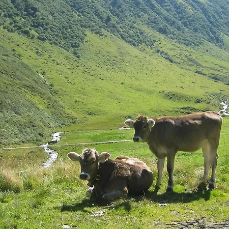 Gæstehus Valbella Partenen
