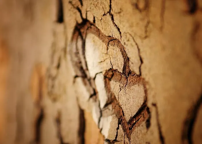 Valbella Гостевой дом Партенен